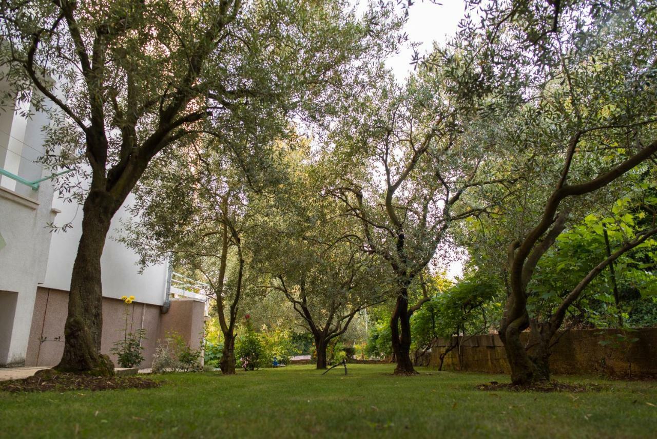 Apartments Villa Lena Zadar Dış mekan fotoğraf